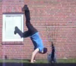 Vido dlire : Paf le chat